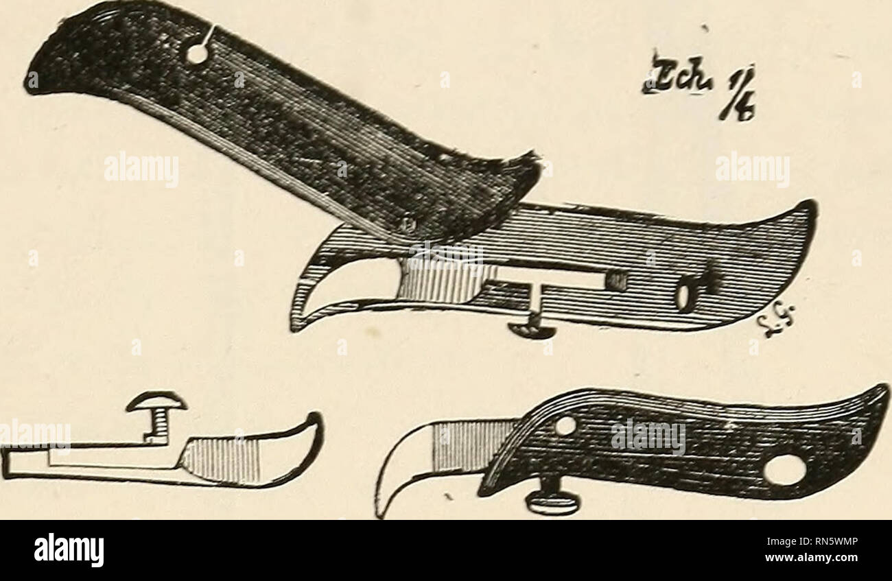 . Animal castration. Castration. ANIMAL CASTRATION. 137 Fig. 30. quently by another (Fig 30), of supe- rior form and easier of application, and now in general use; second, a bistoury cache (Fig. 31 j, sliding on its handles, Fig. 3L. BISTOURY CACHE which is a true embryotomy knife, mod- ified by Colin (Fig. 32); third, a pair of Fig. 32. colin's bistoury cache. J M W long, sharp scissors (Fig. 33), with ^?^ guarded blades, curved on its flat sur- face ; fourth, a torsion forceps (Fig. 31), closed by a peculiar thread arrange- ment, moved by the handle ; and fifth, a steel thimble (Fig. 35),  Stock Photo