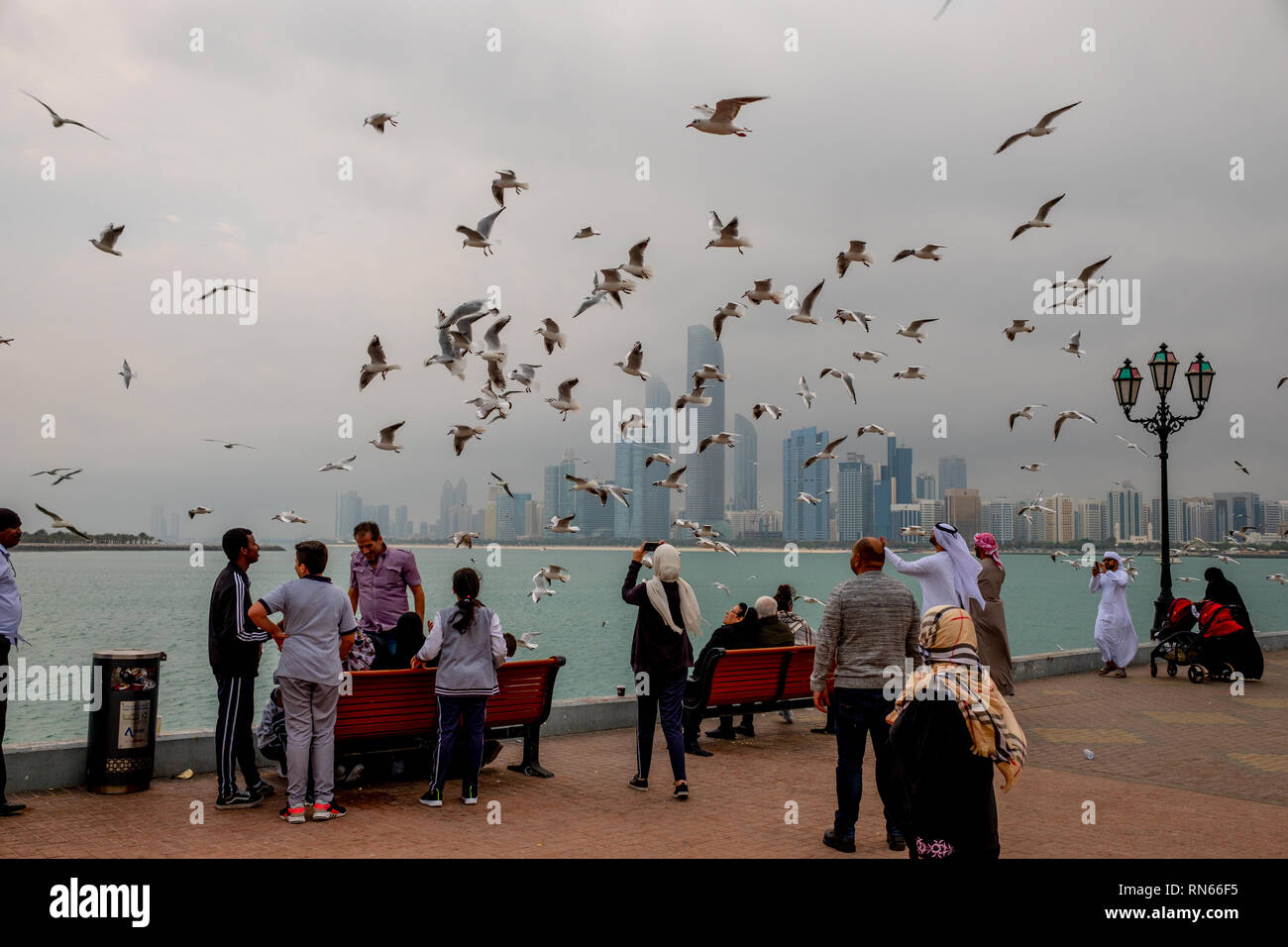 Abu Dhabi, UAE. 17th Feb, 2019. Residents of Abu Dhabi enjoying gloomy weather and Flying seagulls aginst Skylines and seascape of Abu Dhabi. Credit: Fahd Khan / Alamy News Live Credit: Fahd Khan/Alamy Live News Stock Photo
