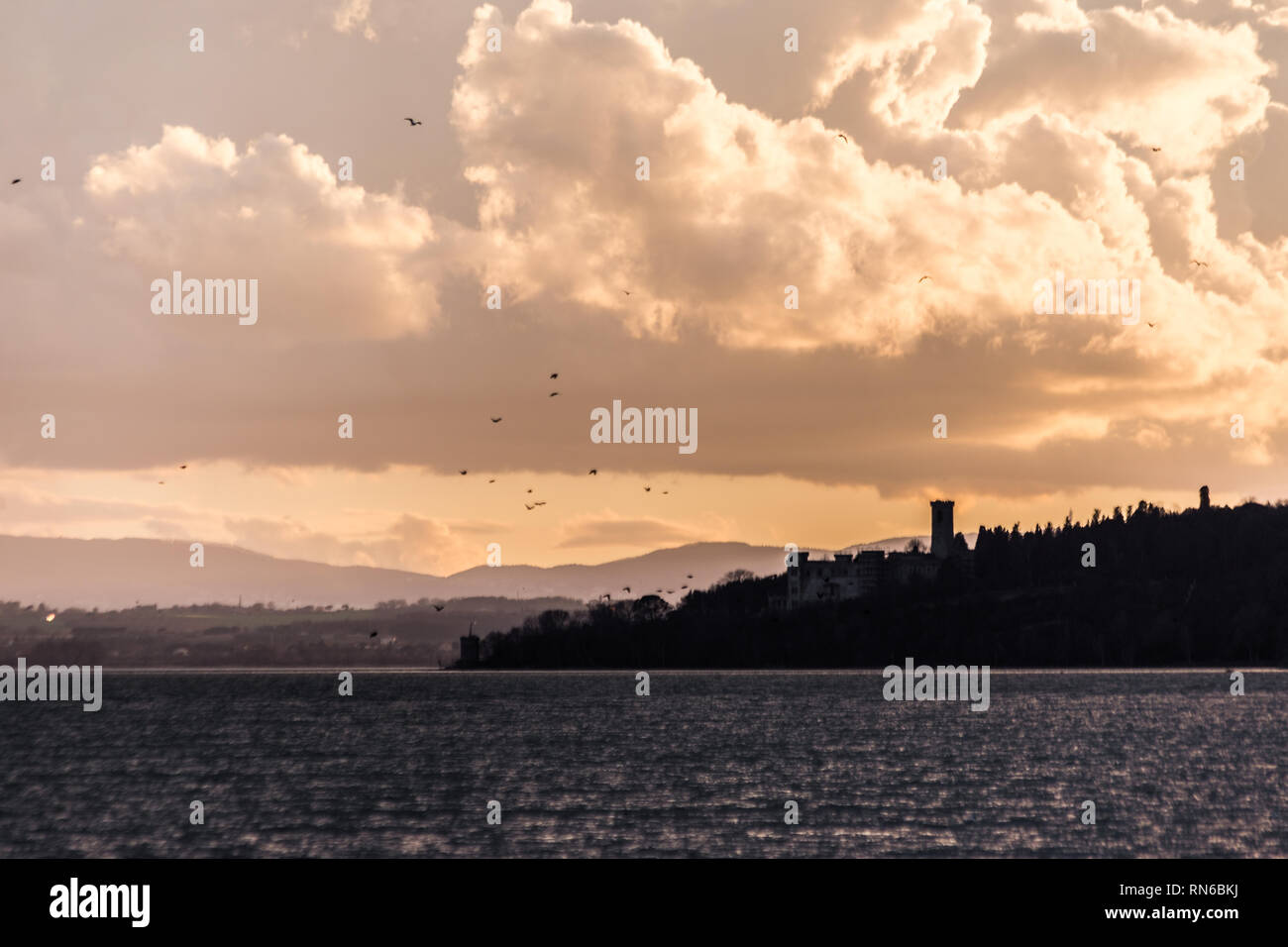 Birds flying over Trasimeno lake with warm sunset colors Stock Photo