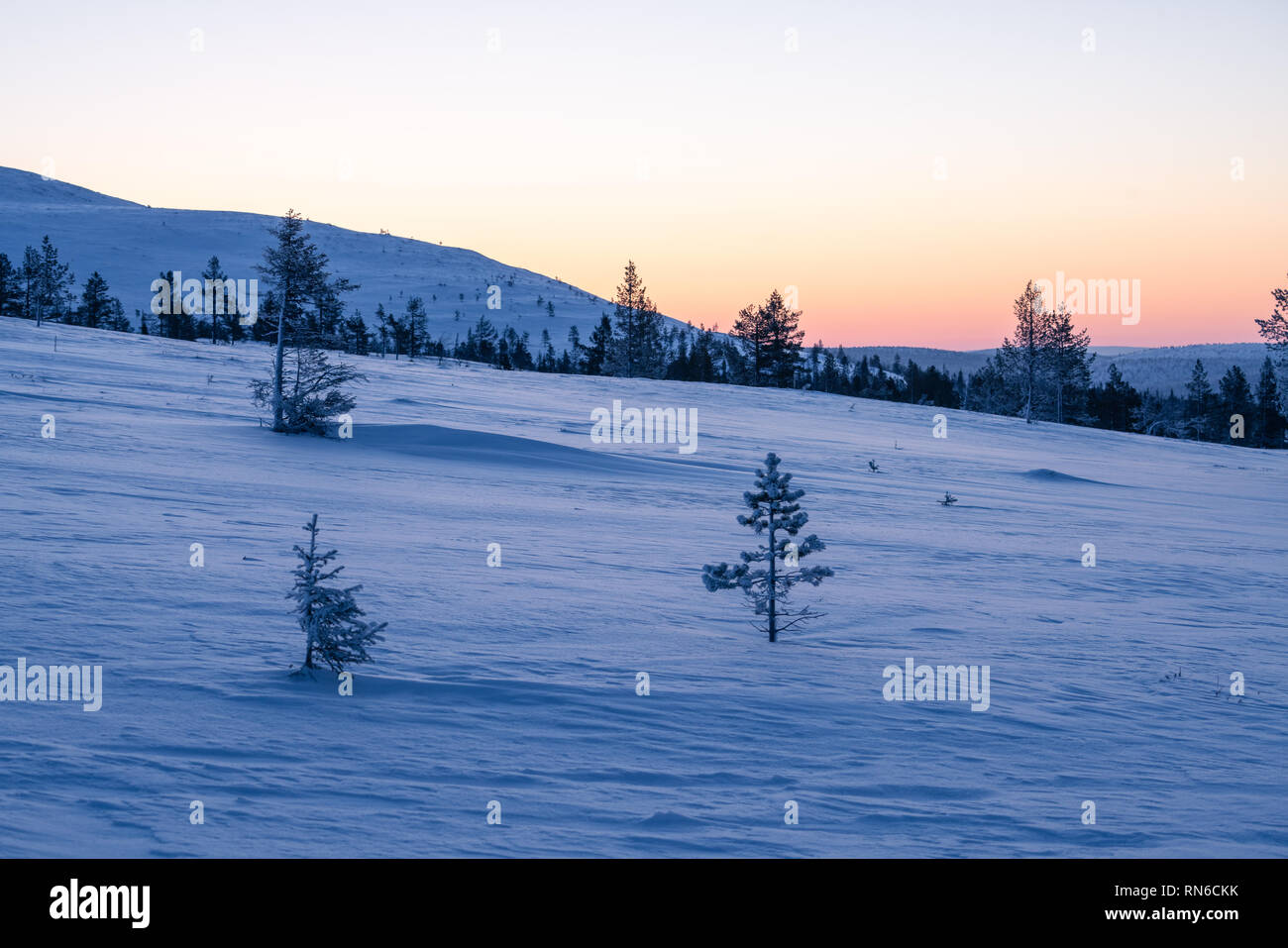 Landscape view in Palas-Yllästunturi National Park at winter in Finland Stock Photo