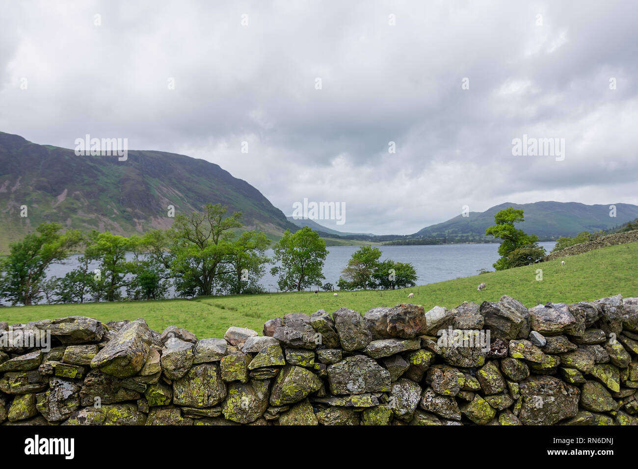 A dry stone wall of Lake District stone with back drop of trees, lake and hills of Cumbria, England. Stock Photo