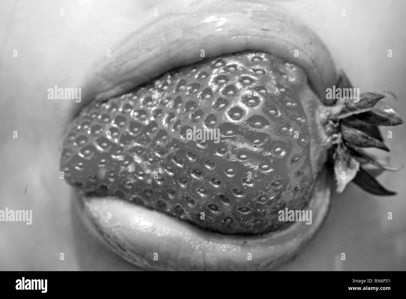 Summer, fruit, berry, harvest season Stock Photo Alamy