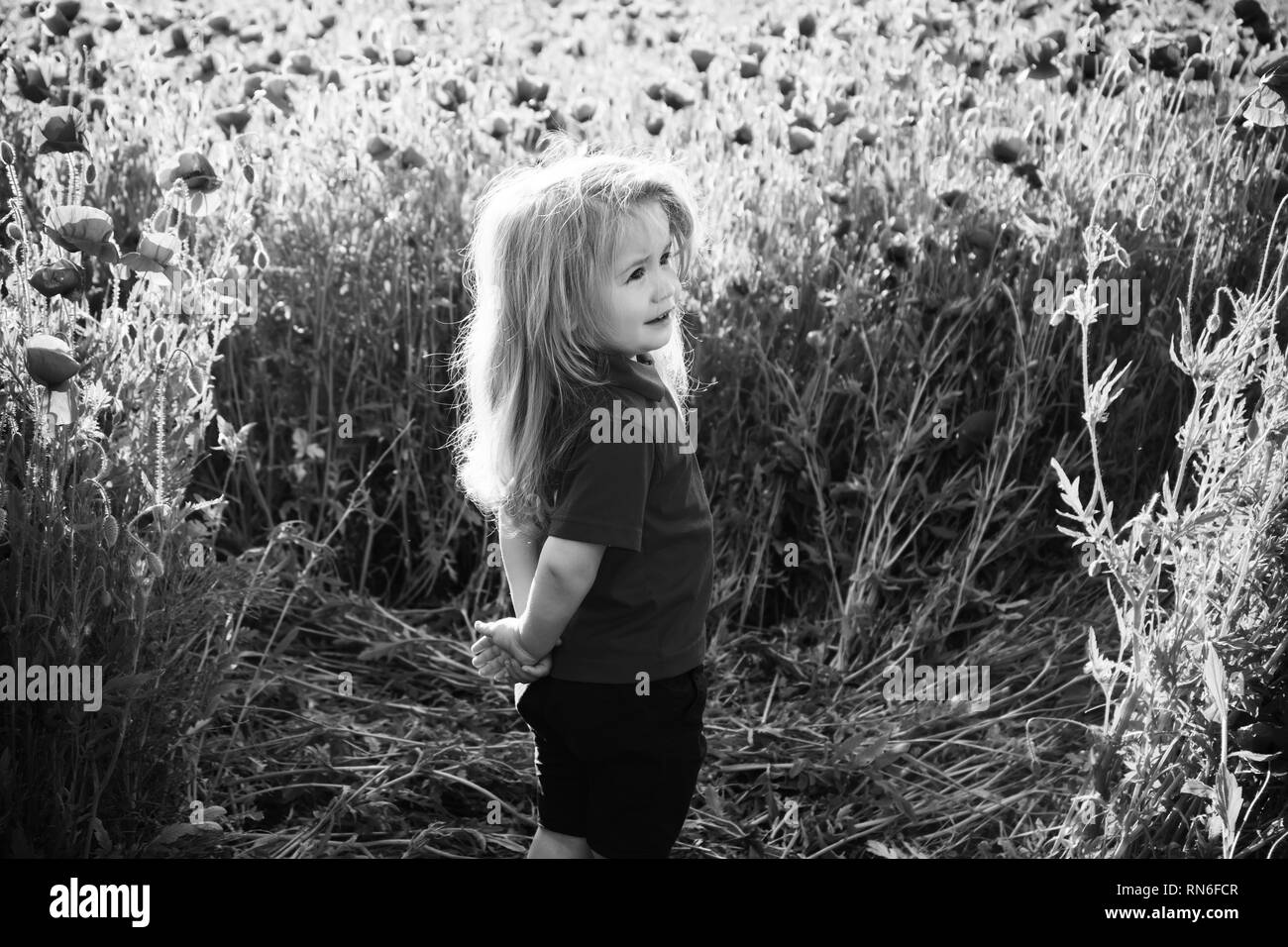 kid or little boy in field of poppy seed Stock Photo - Alamy
