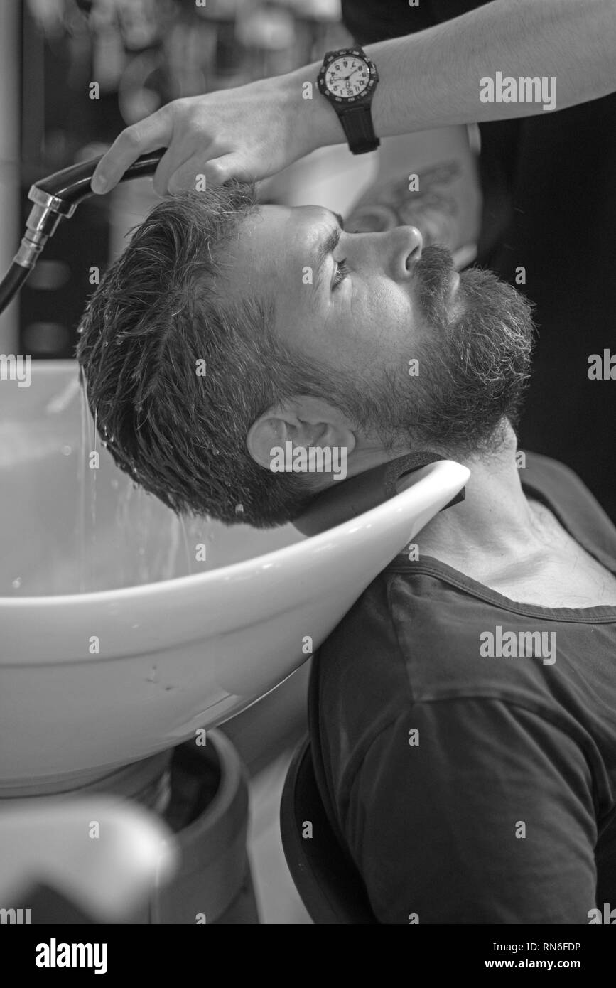 Hair wash, care, cut, shampoo Stock Photo Alamy