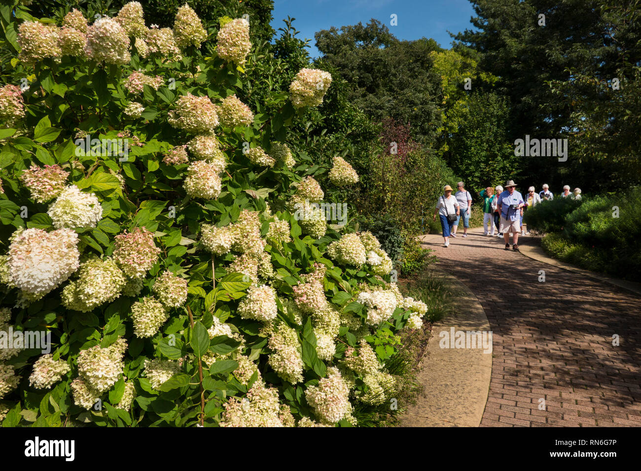 Olbrich Botanical Gardens Madison Wisconsin Stock Photo 236787034