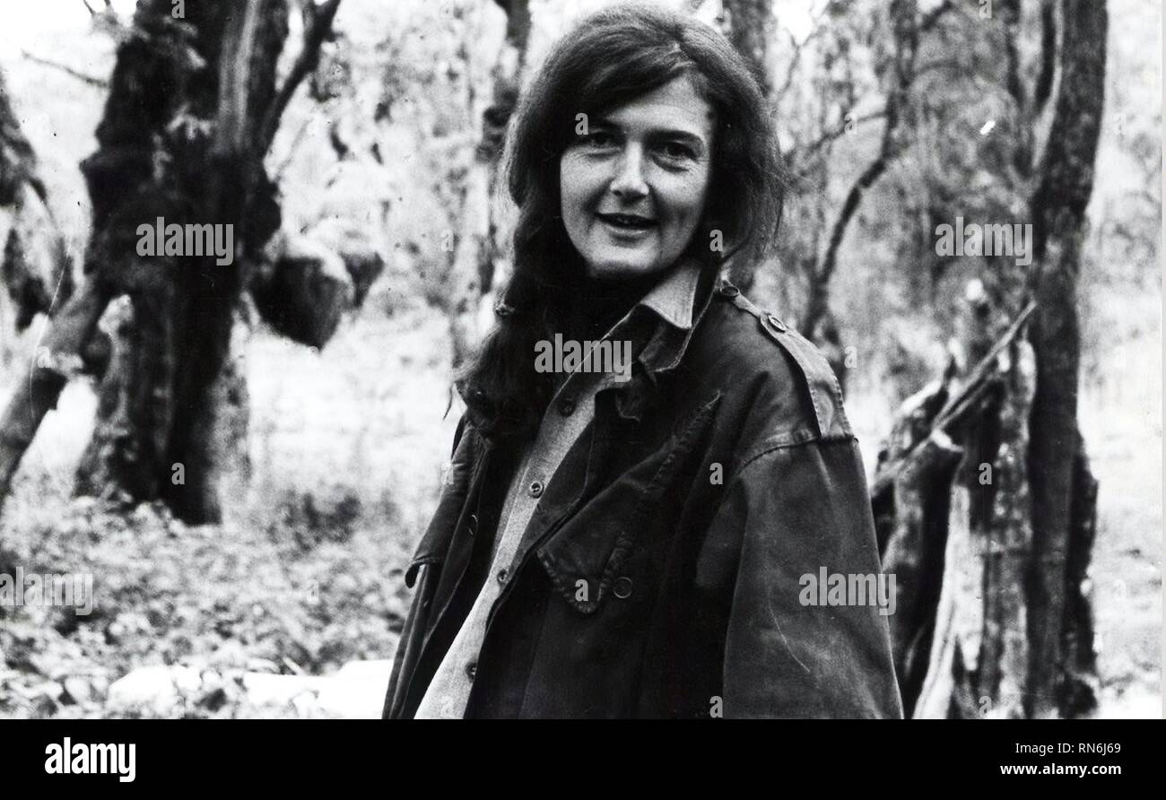 Dian fossey hi-res stock photography and images - Alamy