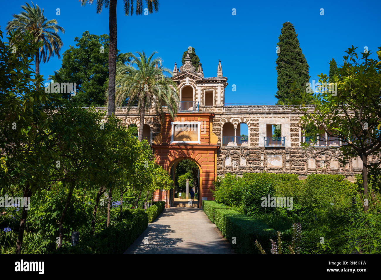 Seville century old tree hi-res stock photography and images - Alamy