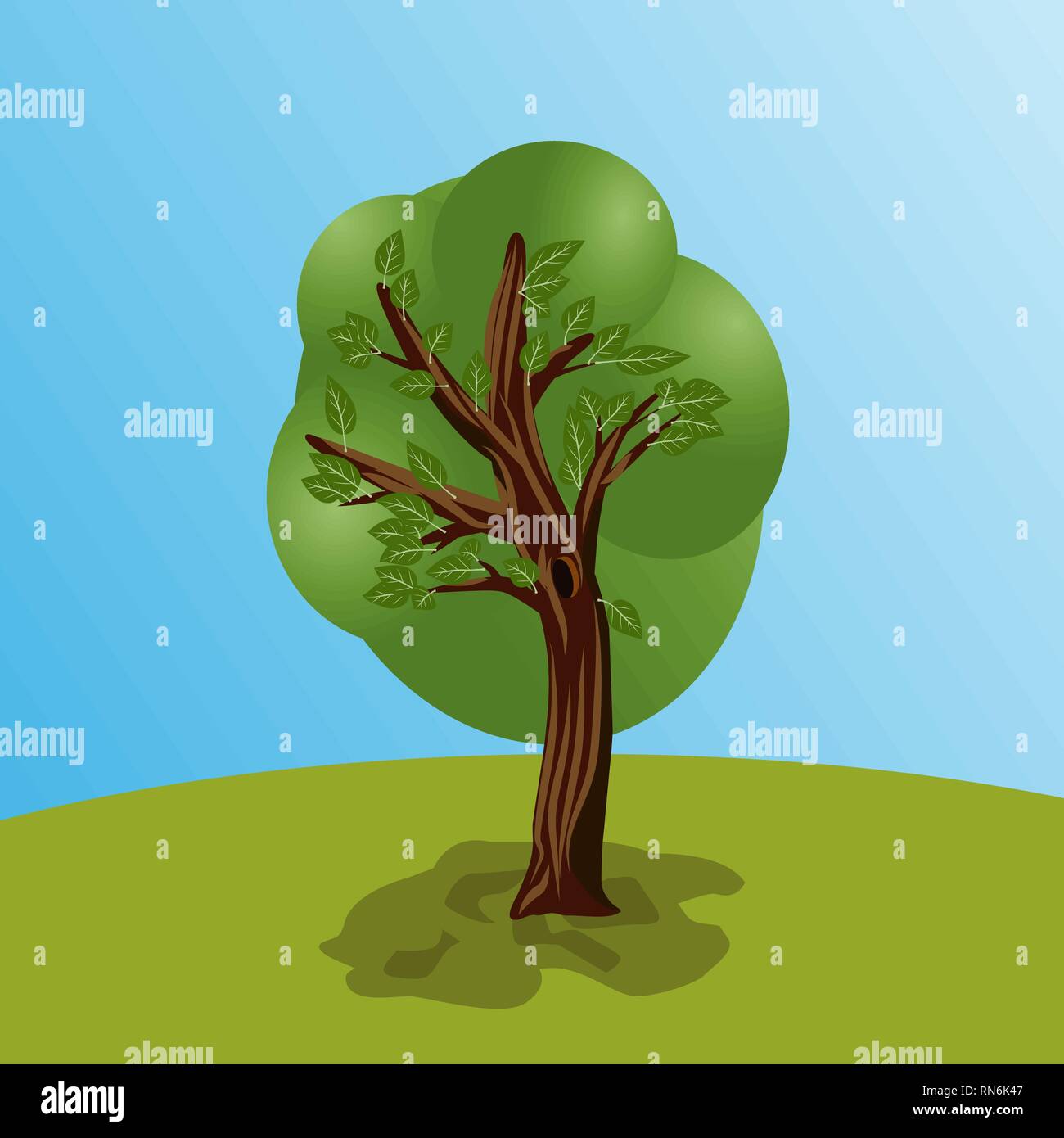 Tree with leaves and green crown. Tree shadow and sky background with glade Stock Vector