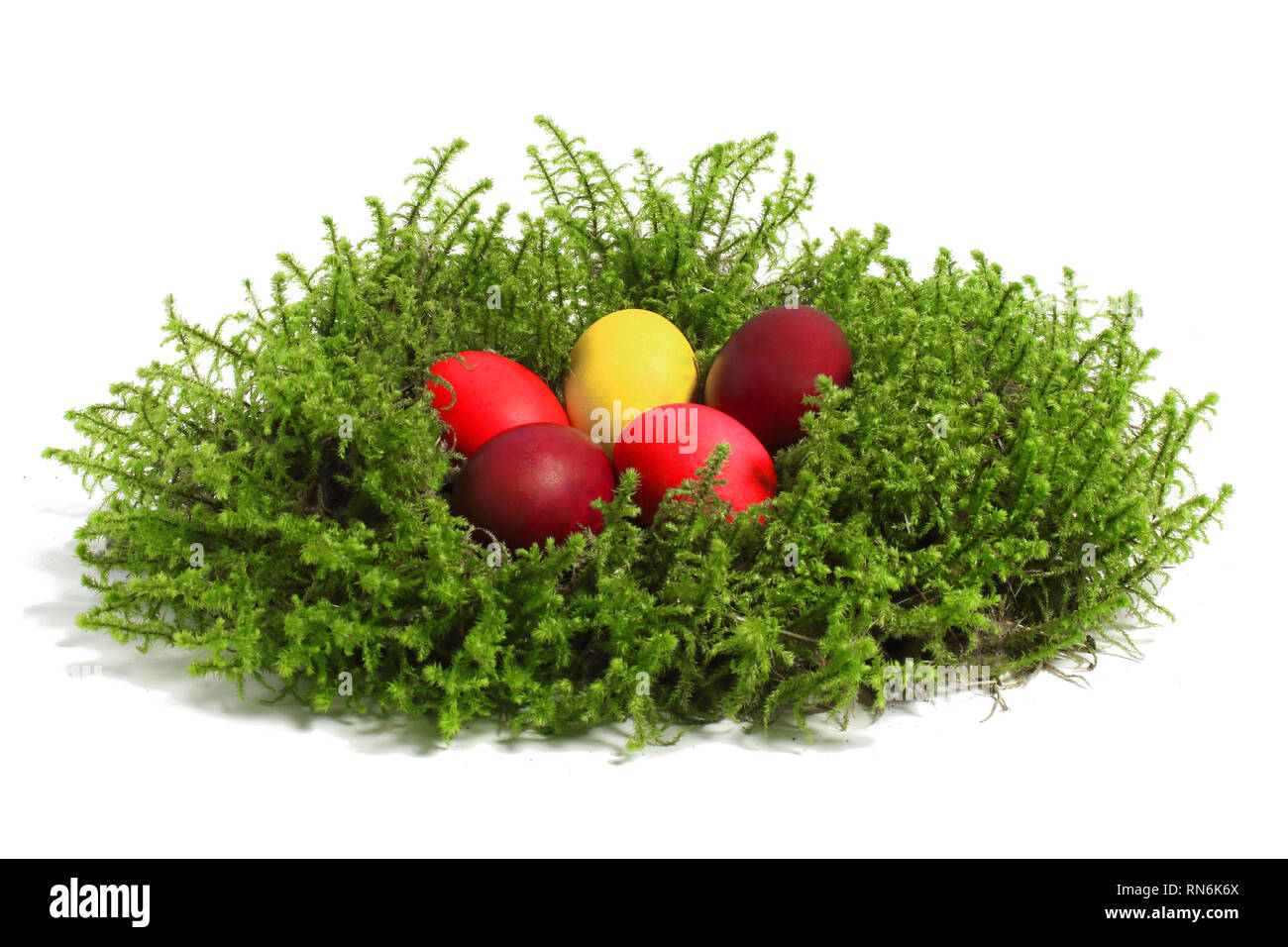 Easter eggs on moss, white background, isolated Stock Photo - Alamy