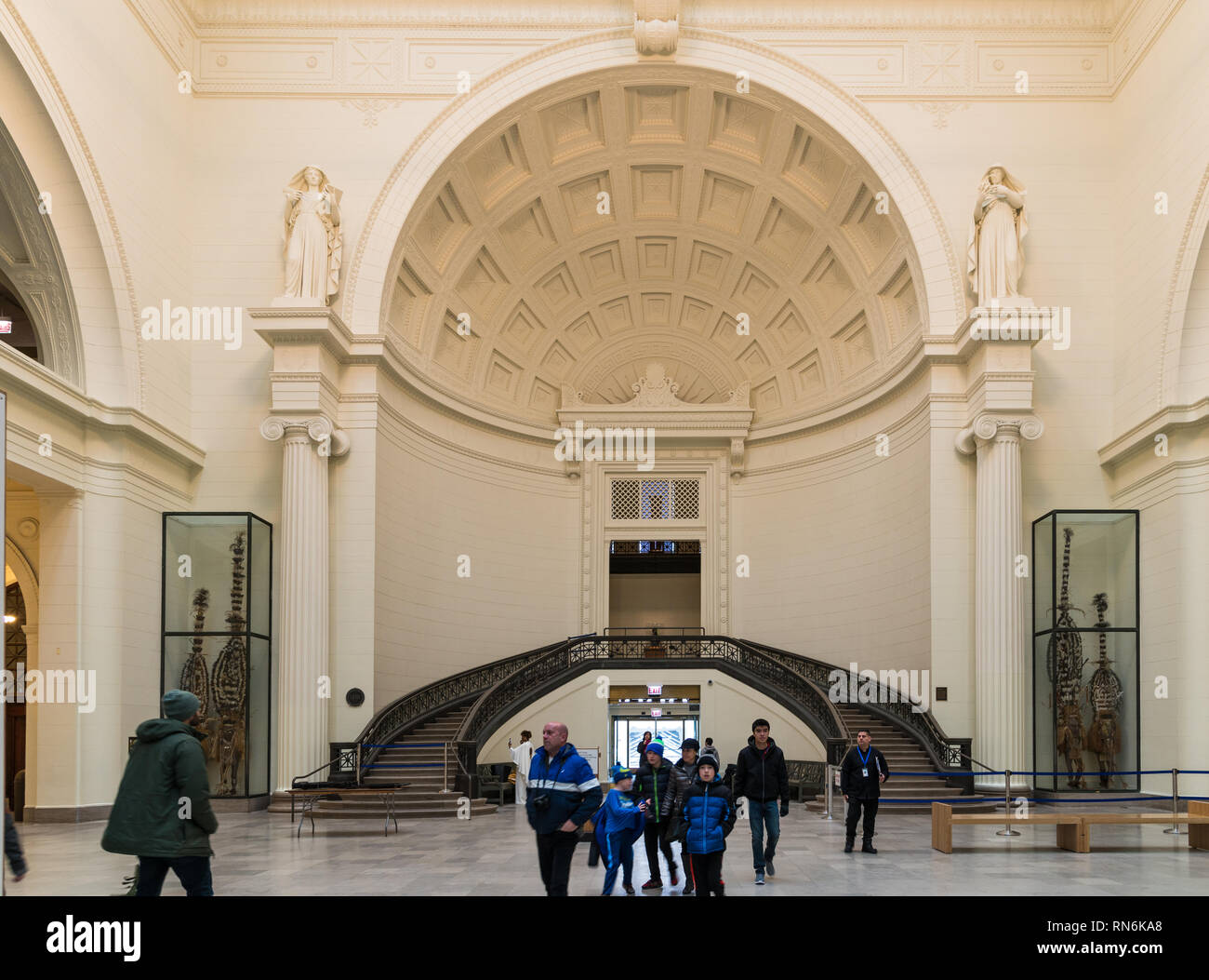 The Stanley Field Hall, at the Field Museum, Chicago, Illinois, USA
