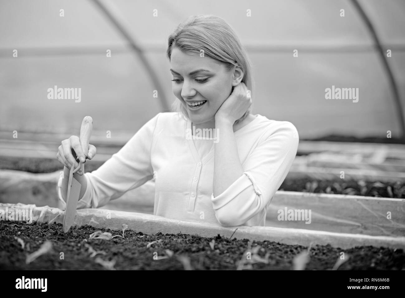 Lovely blond lady digging small hole in plant box. Female florist in pink cardigan working in greenhouse. Eco gardening concept Stock Photo