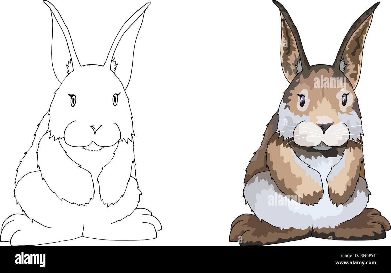 Coloring Book or Page Cartoon Vector Illustration of Easter Bunny Stock ...