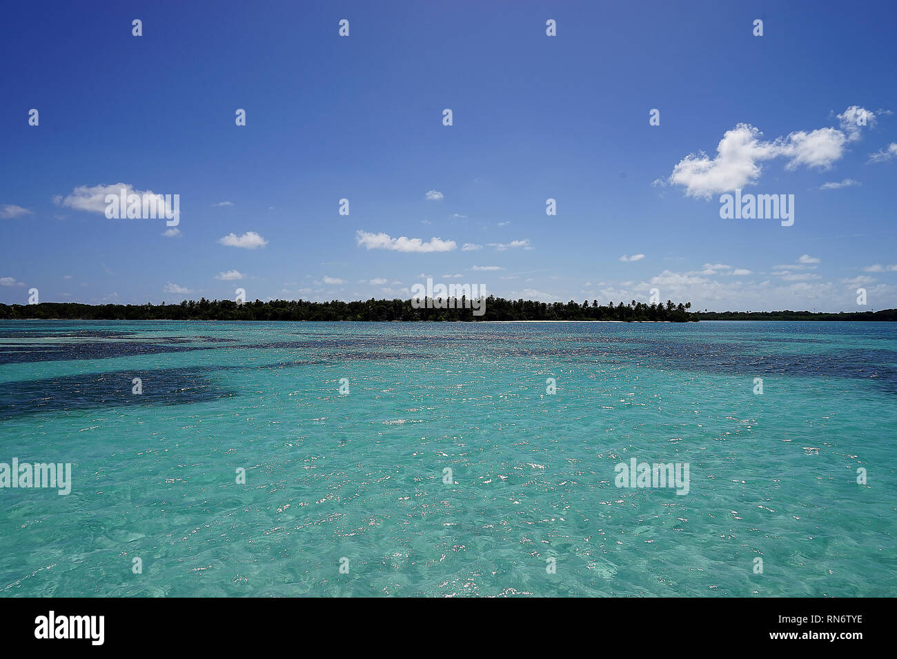 Beach and Ocean at Pigeon Point Heritage Park. Stock Photo