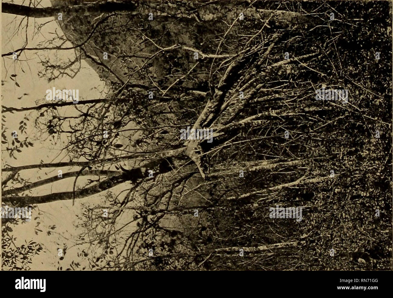 Page 460 M T O High Resolution Stock Photography And Images Alamy