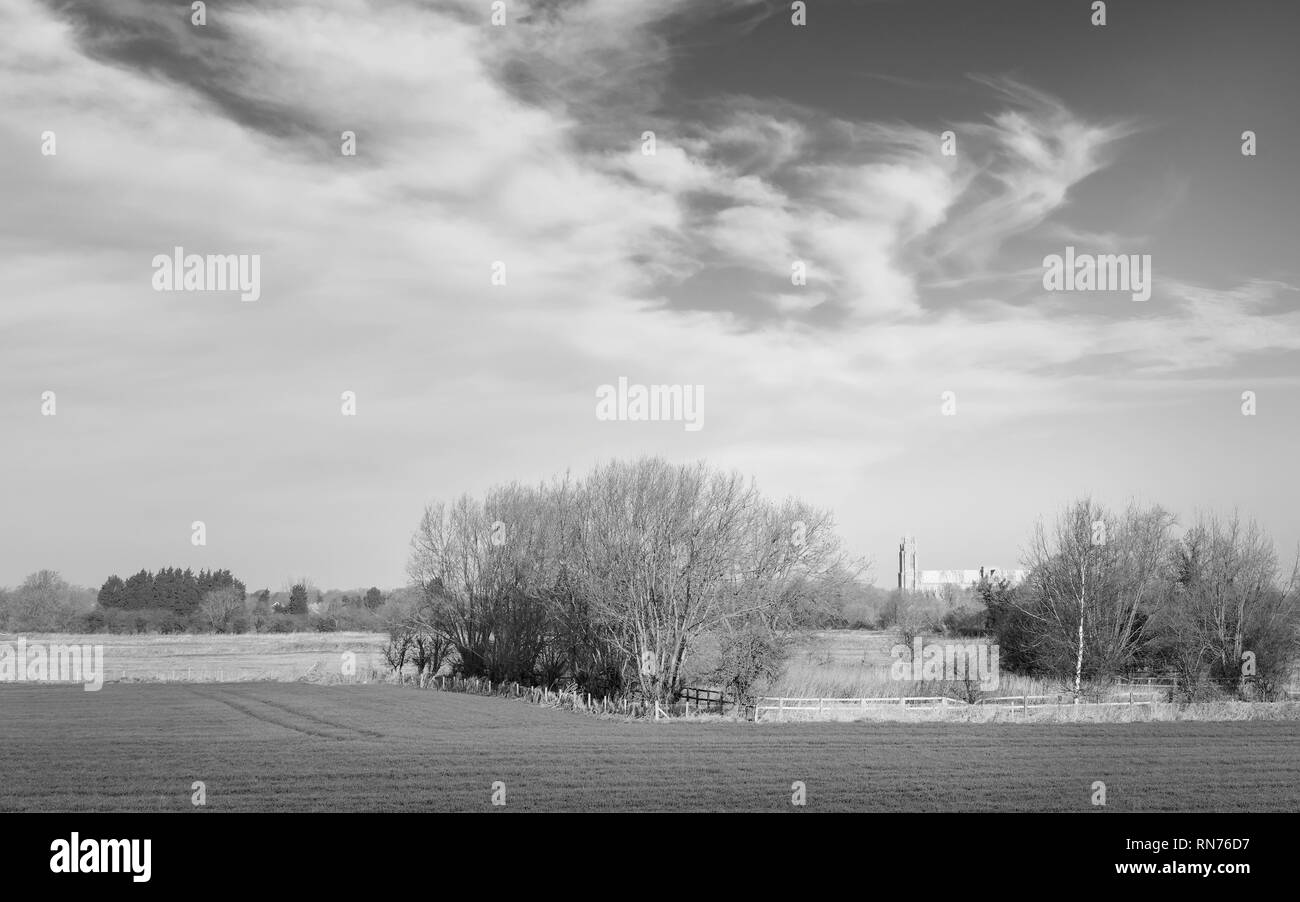 The ancient minster (church) as viewed from across agricultural landscape with trees on bright winter morning in Beverley, Yorkshire, UK. Stock Photo