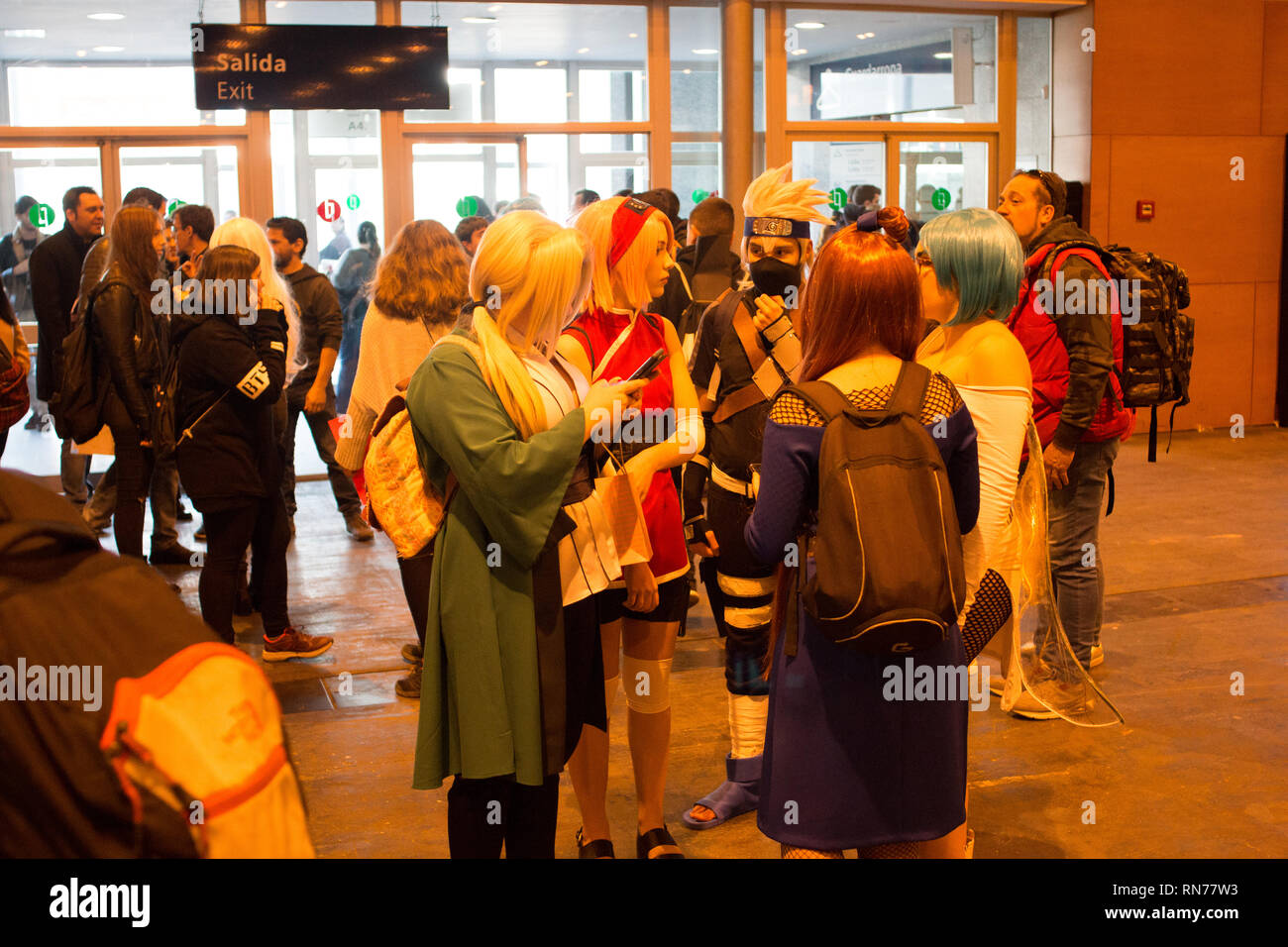 Madrid, Spain. 16th Feb, 2019. A Cosplayers of Naruto (C). Tens of thousands comes to the most important Manga event of Madrid. Credit: Jorge Gonzalez/Pacific Press/Alamy Live News Stock Photo