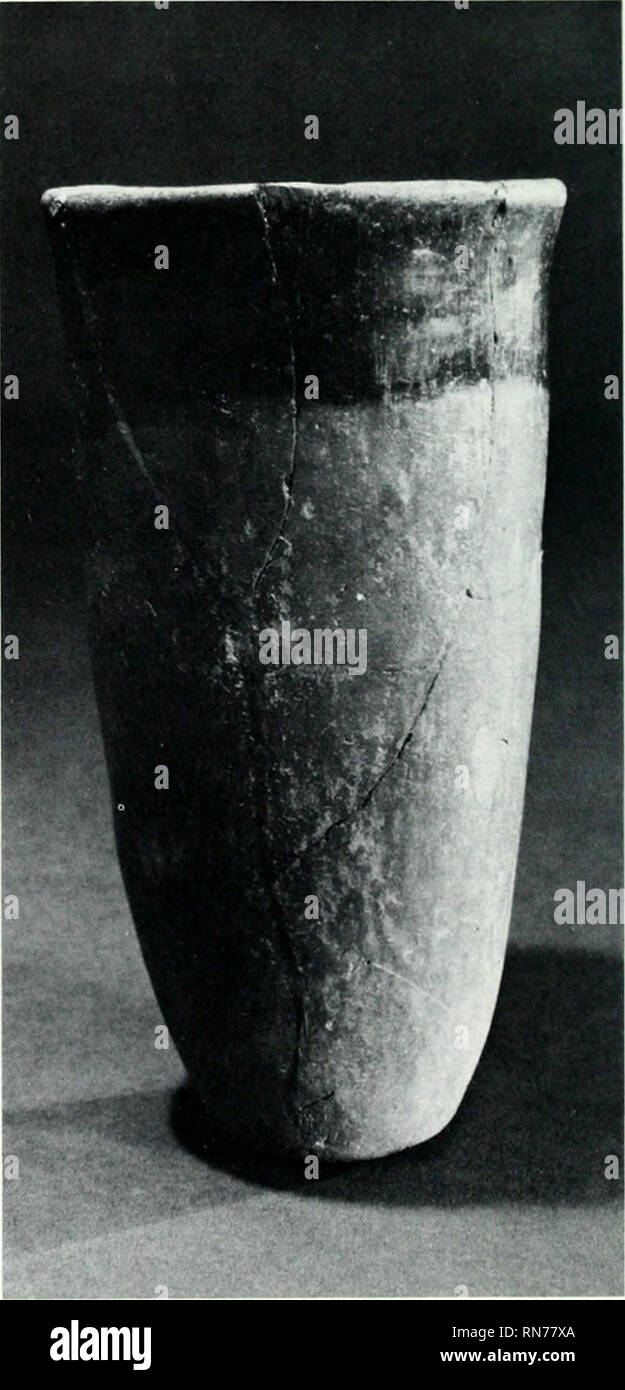 . Ancient Egypt. Egyptology. 3.1 Above) Black- topped vase n'ith in- dented rim from Xaijada. Gift of Sir Flinders Petrie. Early Xaqada. Hei^ffit 16 cm. #31467. H.IRi^tlit) Cylindrical black-tnpped vase from Abydos, Naqada II. Height Z.5.5cm. #17599^). first, but became intentional because of the pleas- ing color combination that resulted. Temperature regulation was difficult in these kilns, so that over- firing occurred, producing partially melted pots, or &quot;wasters&quot; (fig. 2). Ceramic production became more sophisti- cated in stage III, the Naqada II, or Gerzean Period {ca. 3700-3300 Stock Photo