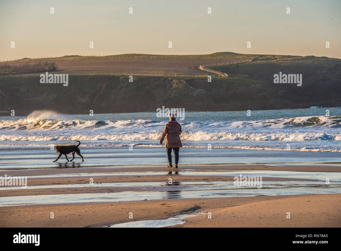 walking dog on Cornish beach in sunset Stock Photo