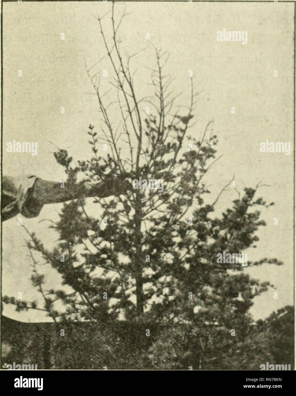 Fremdlandisch hi-res stock photography and images - Alamy