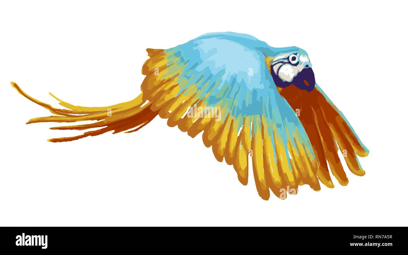 Bright flying parrot, cartoon animal on white Stock Vector Image & Art -  Alamy