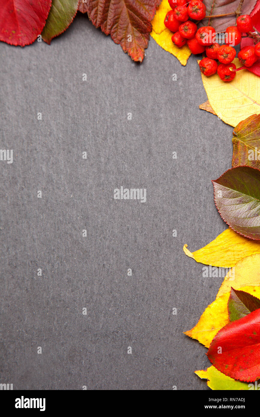 Autumn leaves frame background on black stone Stock Photo - Alamy