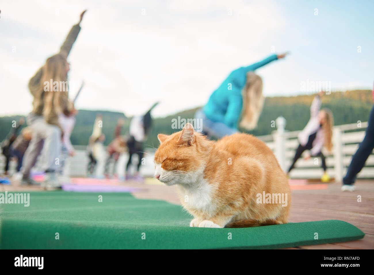 Mrs. Laura's Class: Pajama Day, image size:1300x957