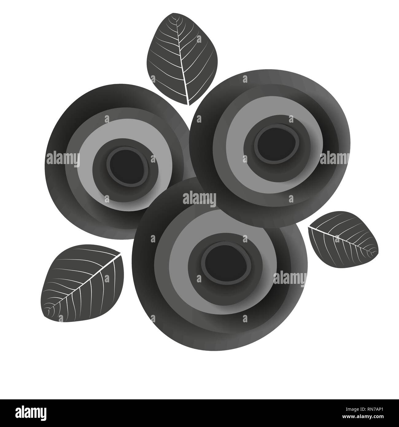 Branch Of Roses On A White Background Vector Illustration Stock Vector ...