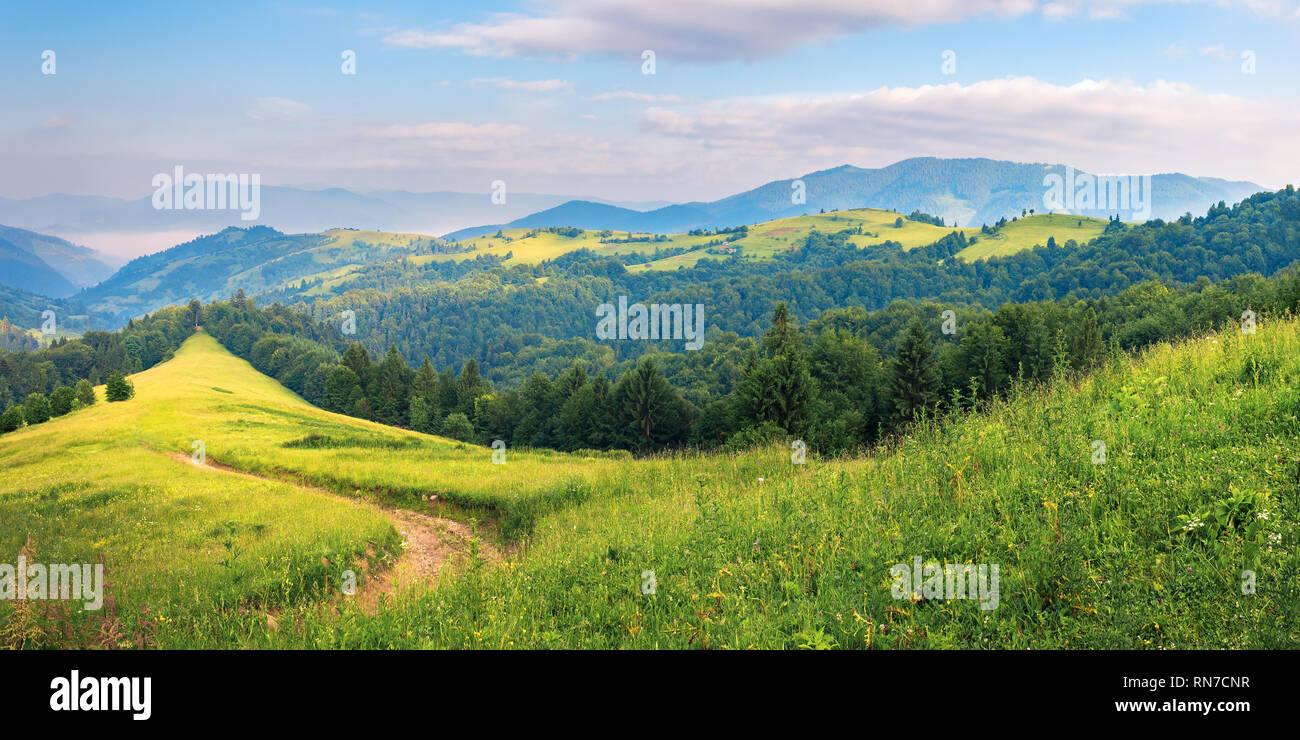 panorama of a summer countryside landscape in mountains. winding path down the grassy slope among conifer trees. rural fields on a distant hill. beaut Stock Photo