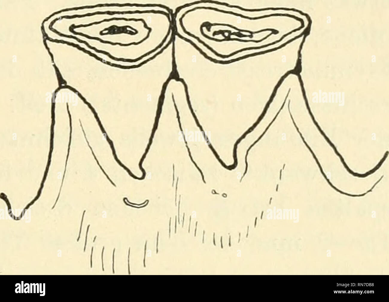 1 folge high resolution stock photography and images page 6 alamy