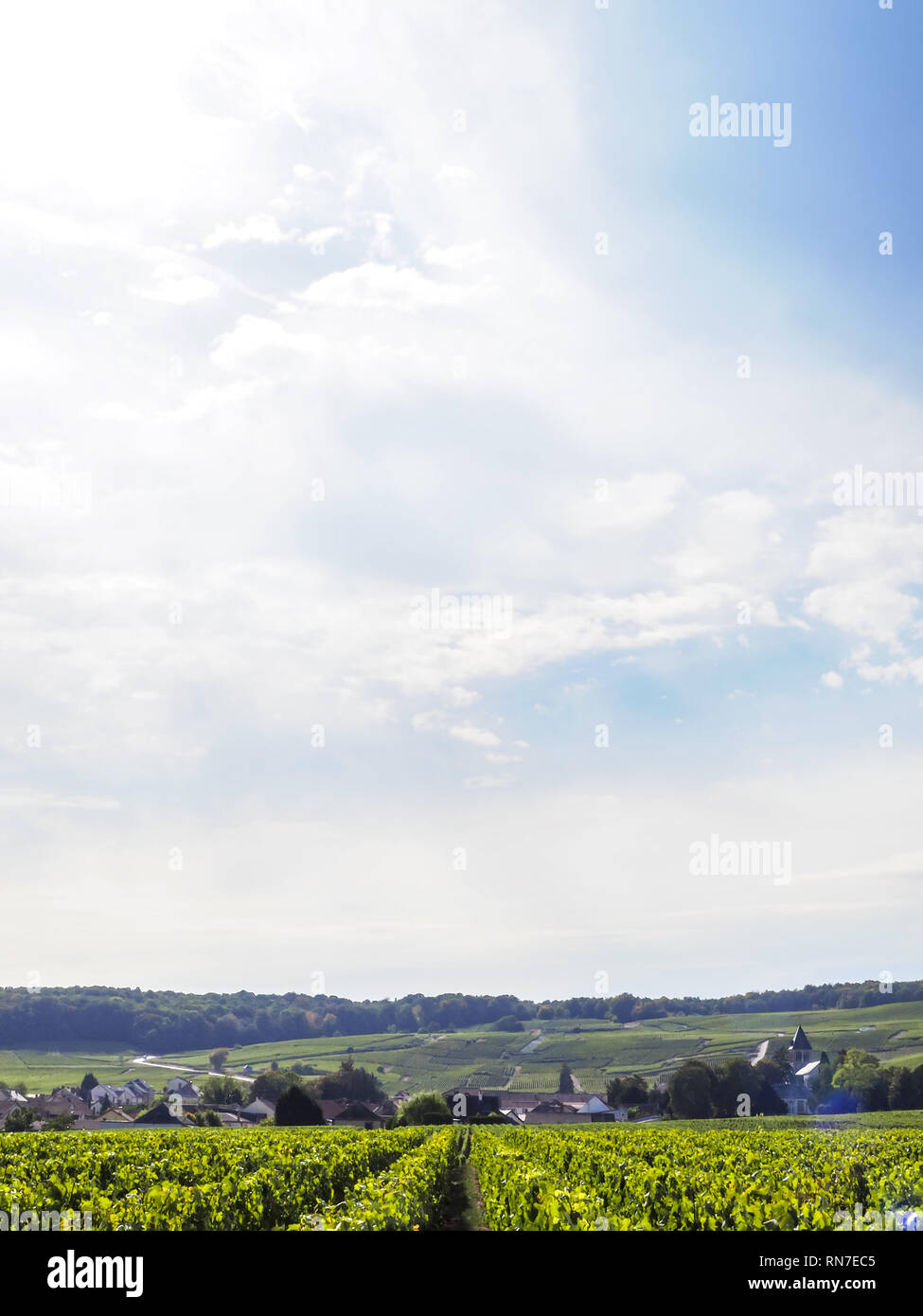 Oger Stock Photos Oger Stock Images Alamy