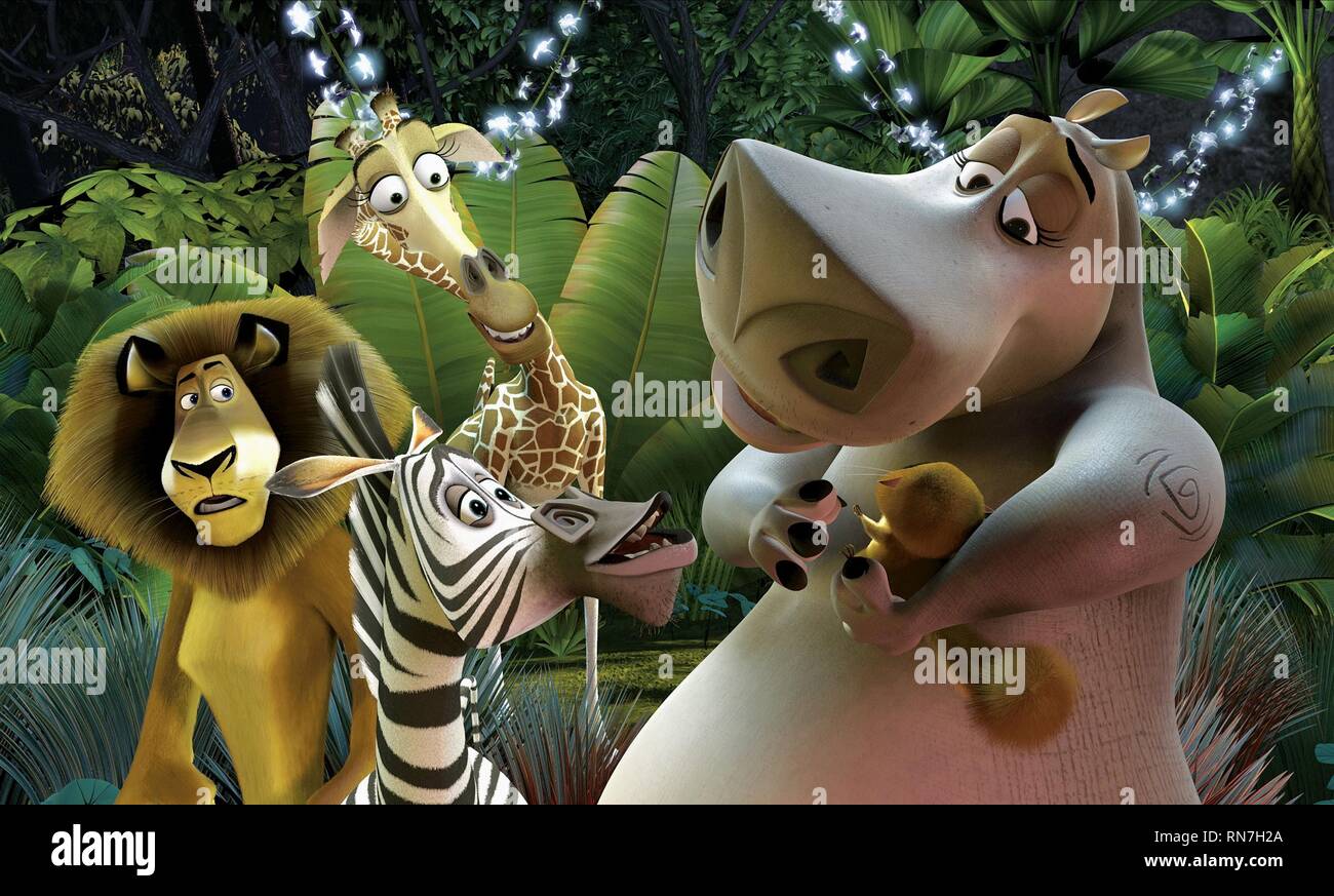 madagascar 2005 zebra madagascar 2005 zebra