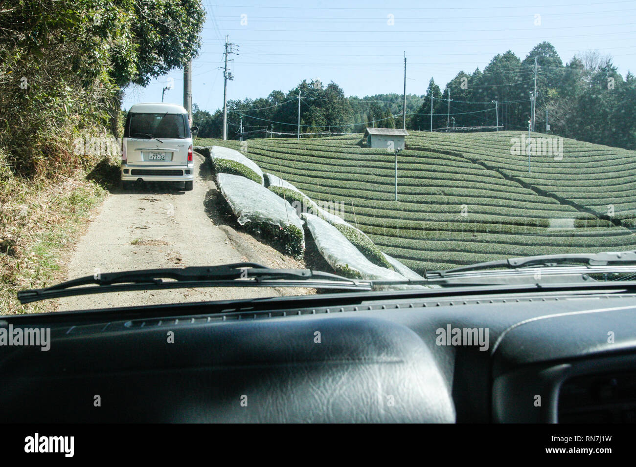 Tea Tour Japan Stock Photo Alamy