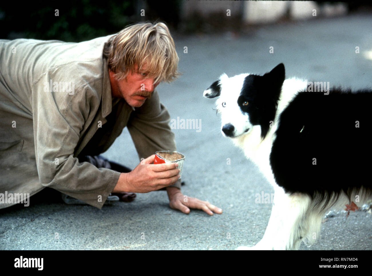 NOLTE,DOG, DOWN AND OUT IN BEVERLY HILLS, 1986 Stock Photo