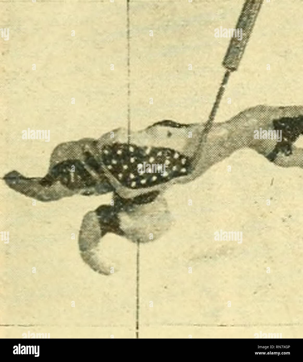 Get Zu anfangs Free HD