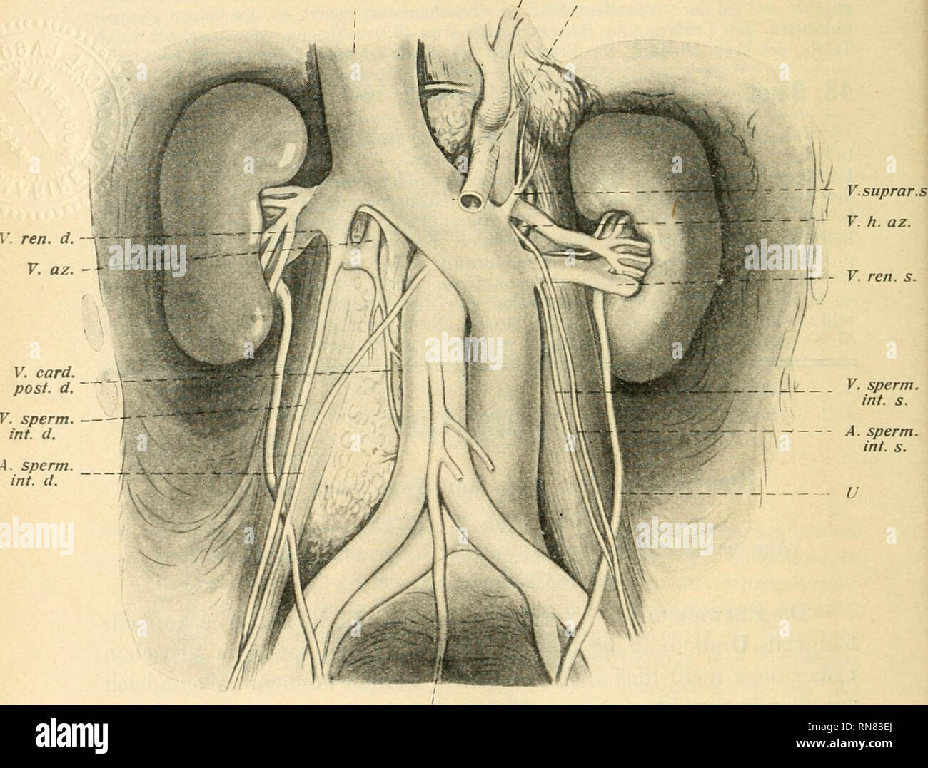 Page 7 Gewinnt High Resolution Stock Photography And Images Alamy