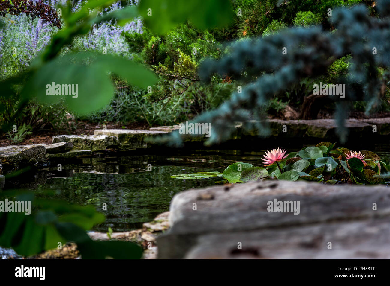 Water features you can use in your garden. Stock Photo