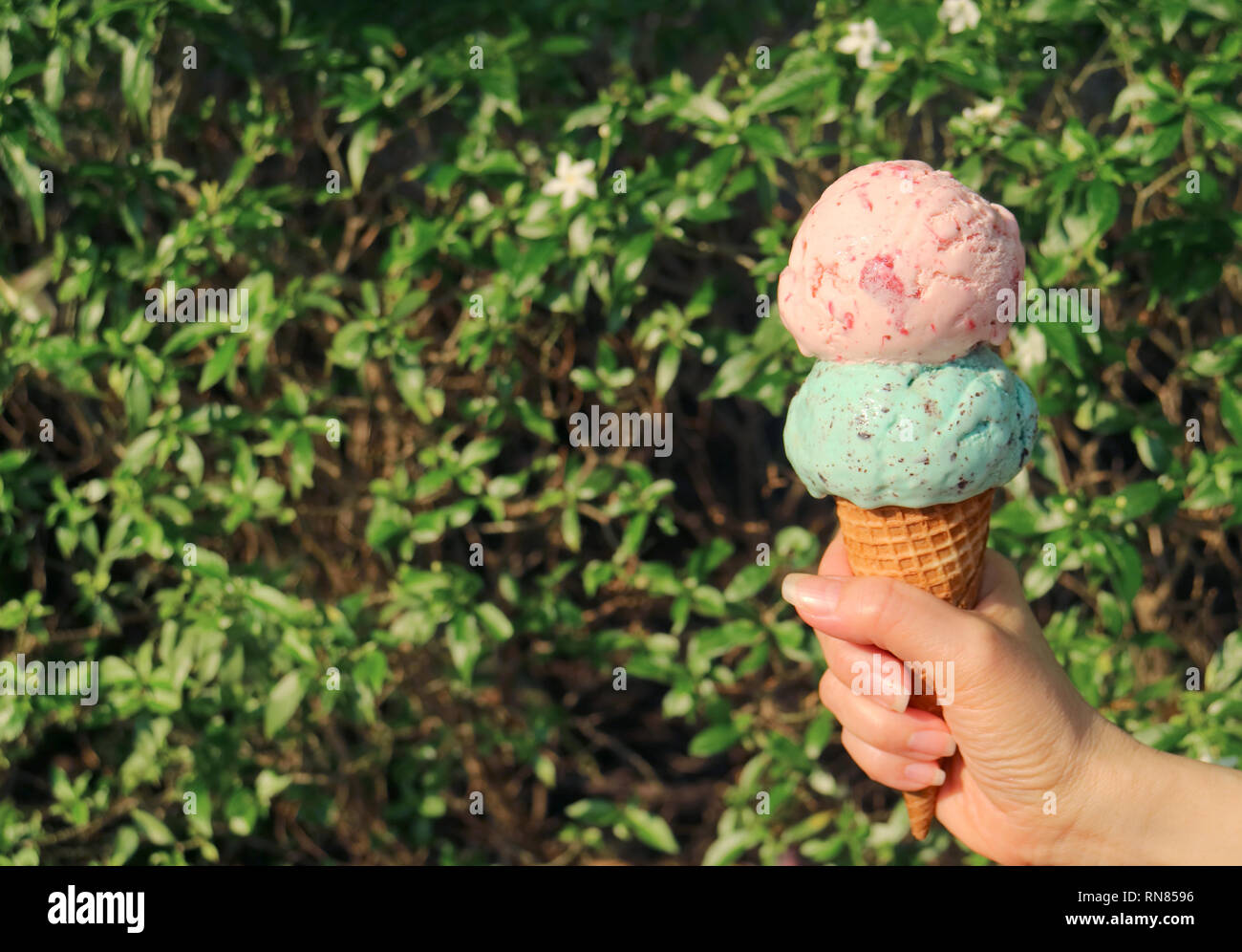 Two scoops ice cream cone in hand against blurry flowering tree with free space for text or design Stock Photo