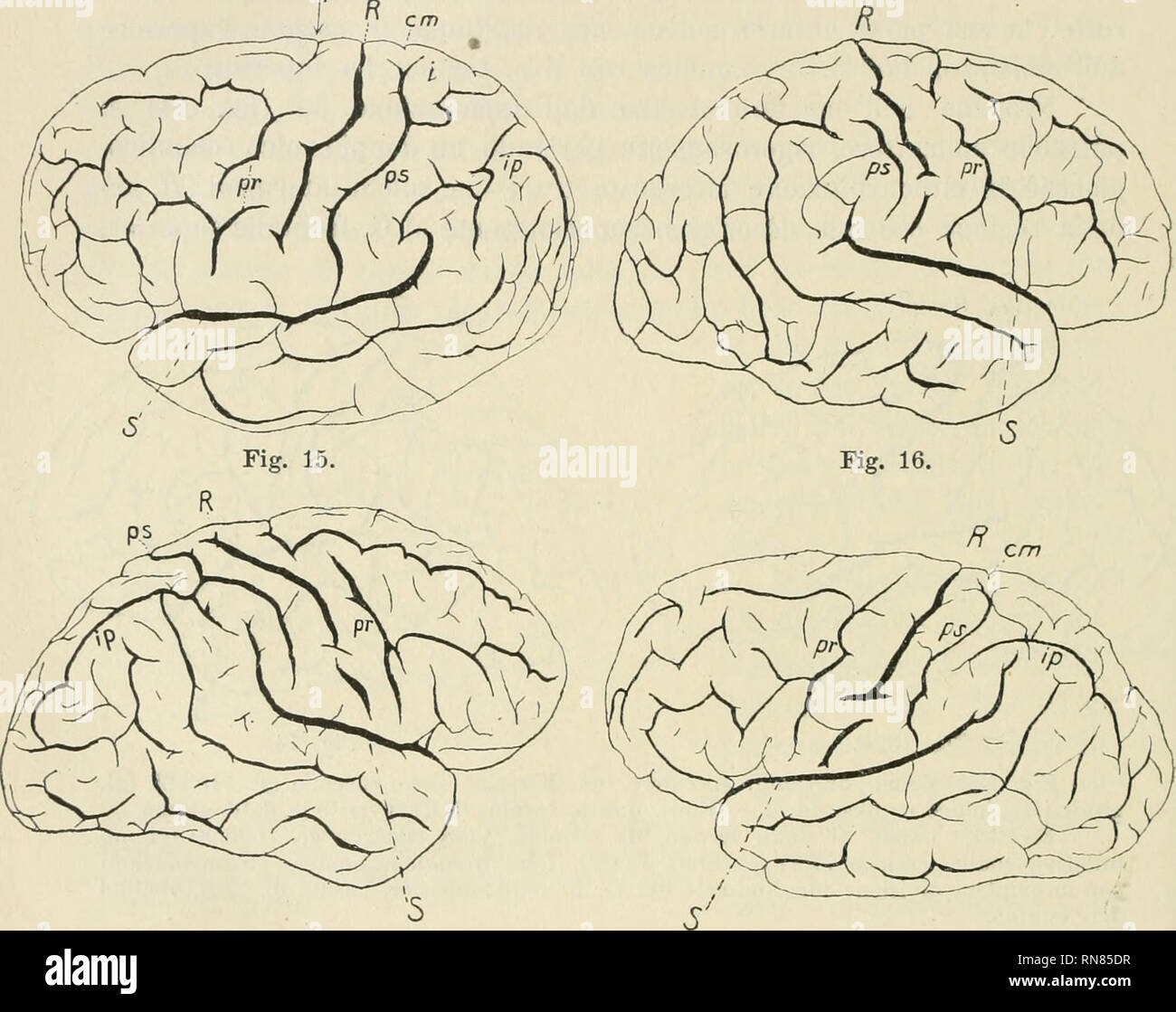 Presa inferior hires stock photography and images Alamy