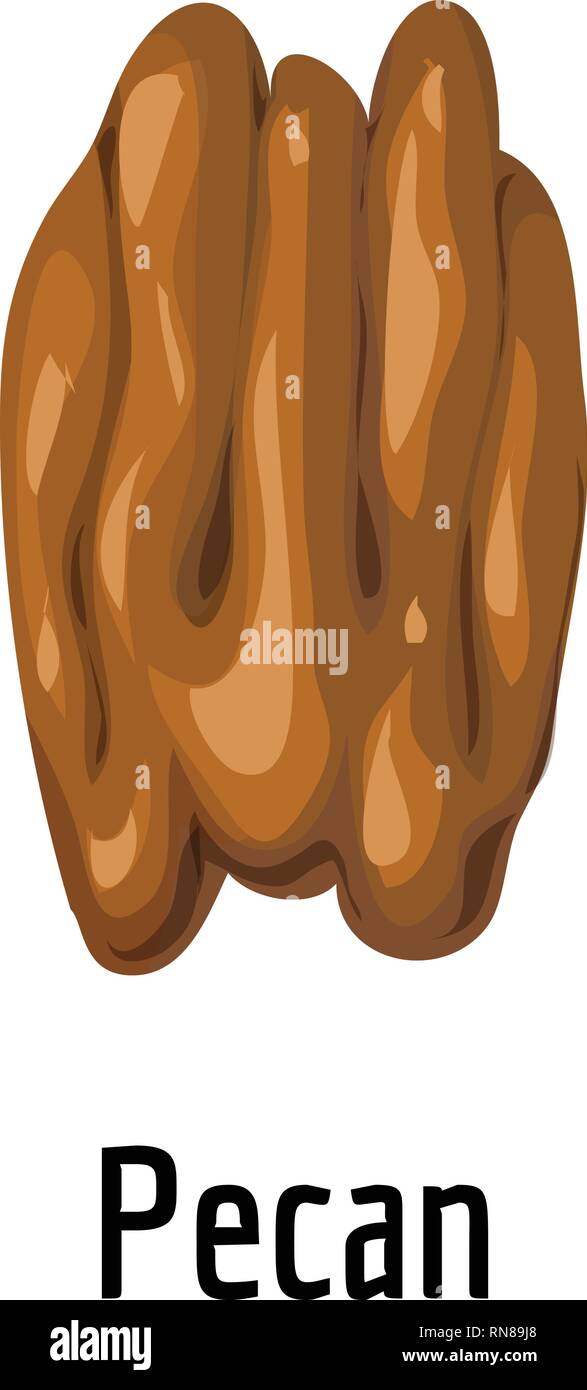Pecan icon. Cartoon of pecan vector icon for web design isolated on white background Stock