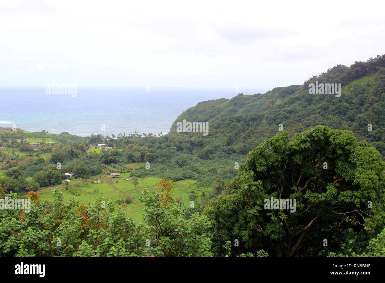 Wailua village hires stock photography and images Alamy