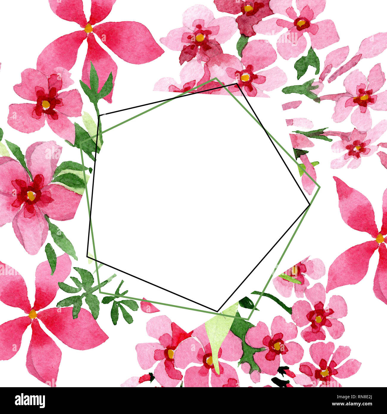 Pink phlox foral botanical flower. Watercolor background illustration set. Frame border ornament square. Stock Photo