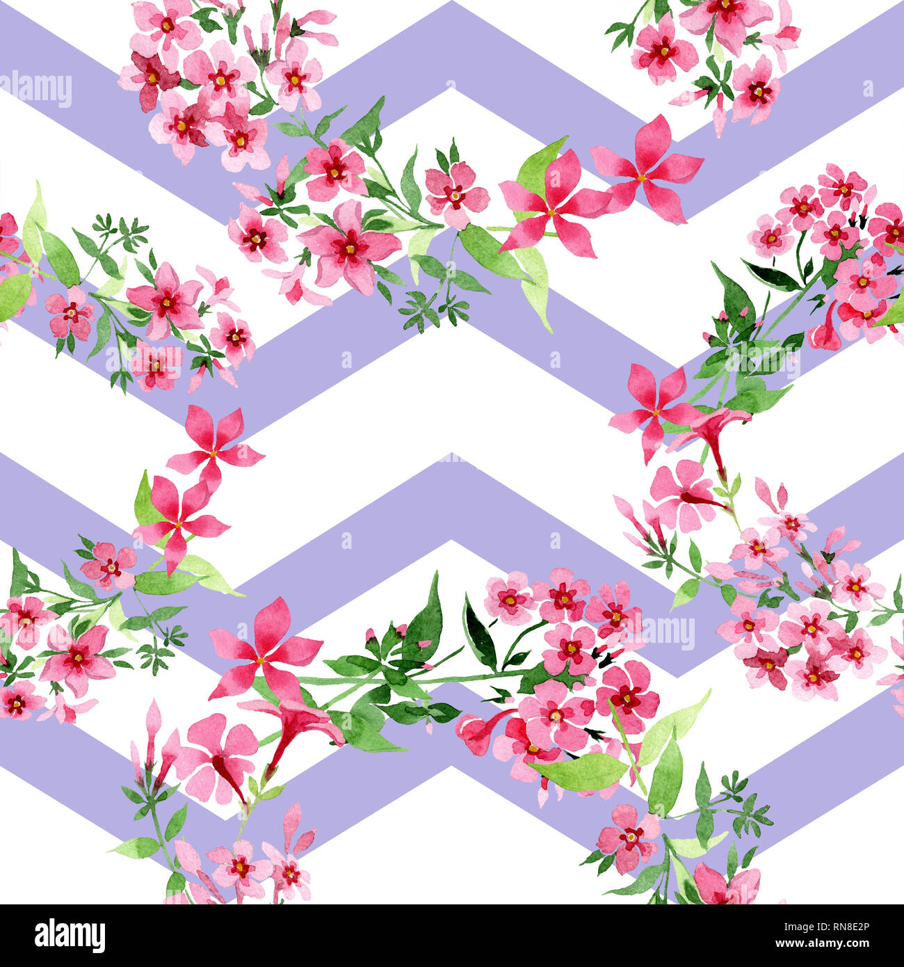 Pink phlox foral botanical flower. Watercolor background illustration set. Seamless background pattern. Stock Photo