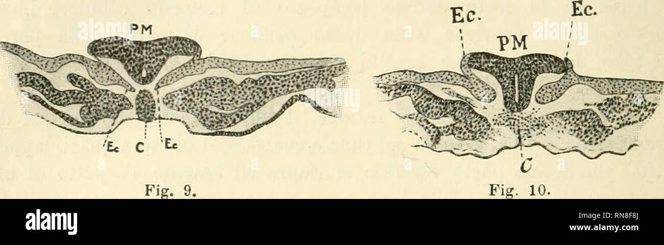 Aspetto orizzontale hires stock photography and images Alamy