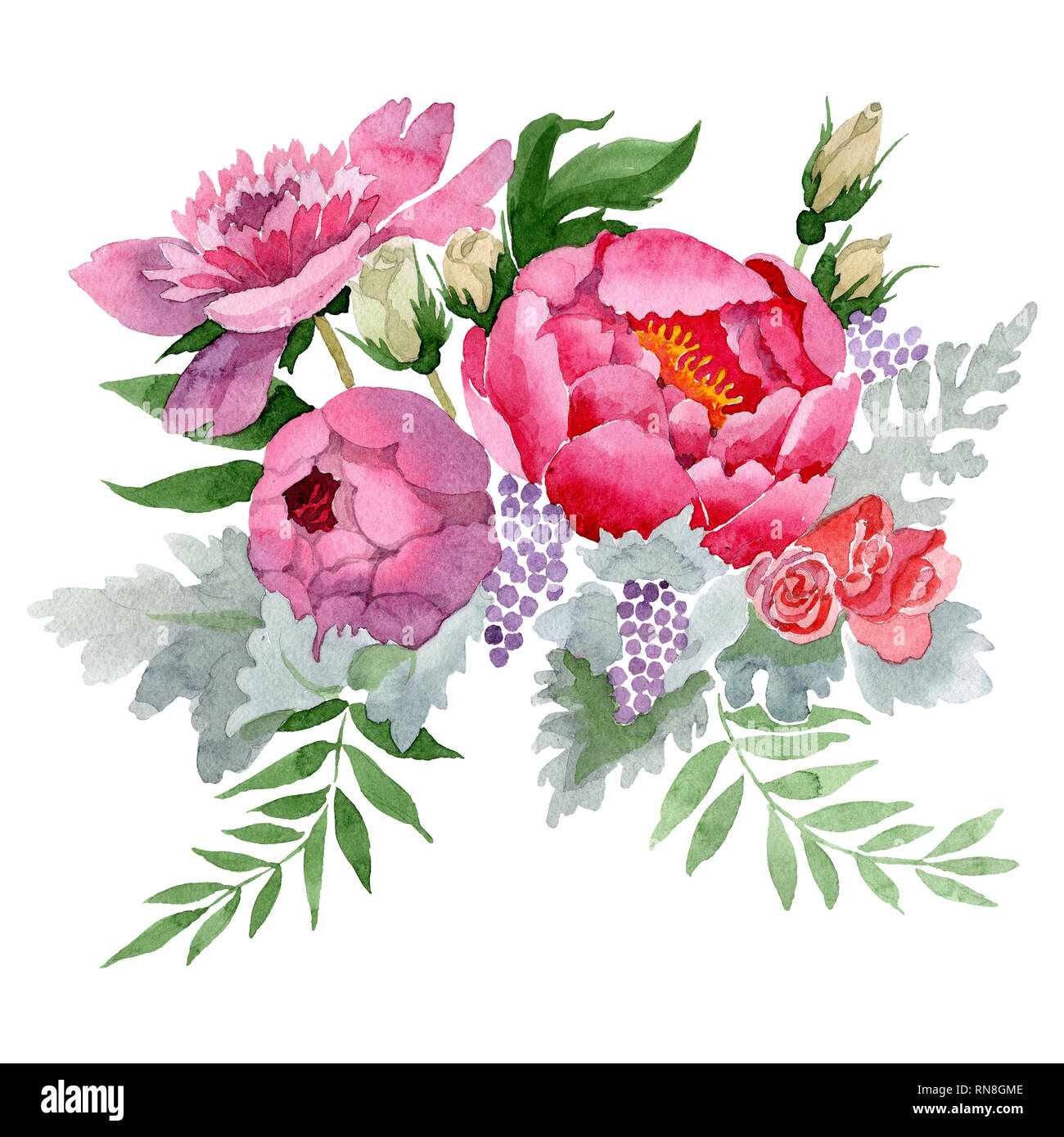 Pink peony bouquet botanical flower. Watercolor background illustration ...