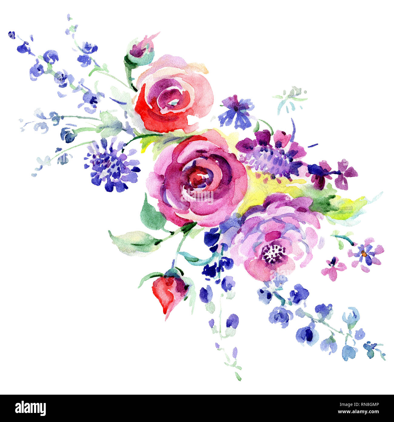 Pink rose bouquet floral botanical flower. Watercolor background set ...