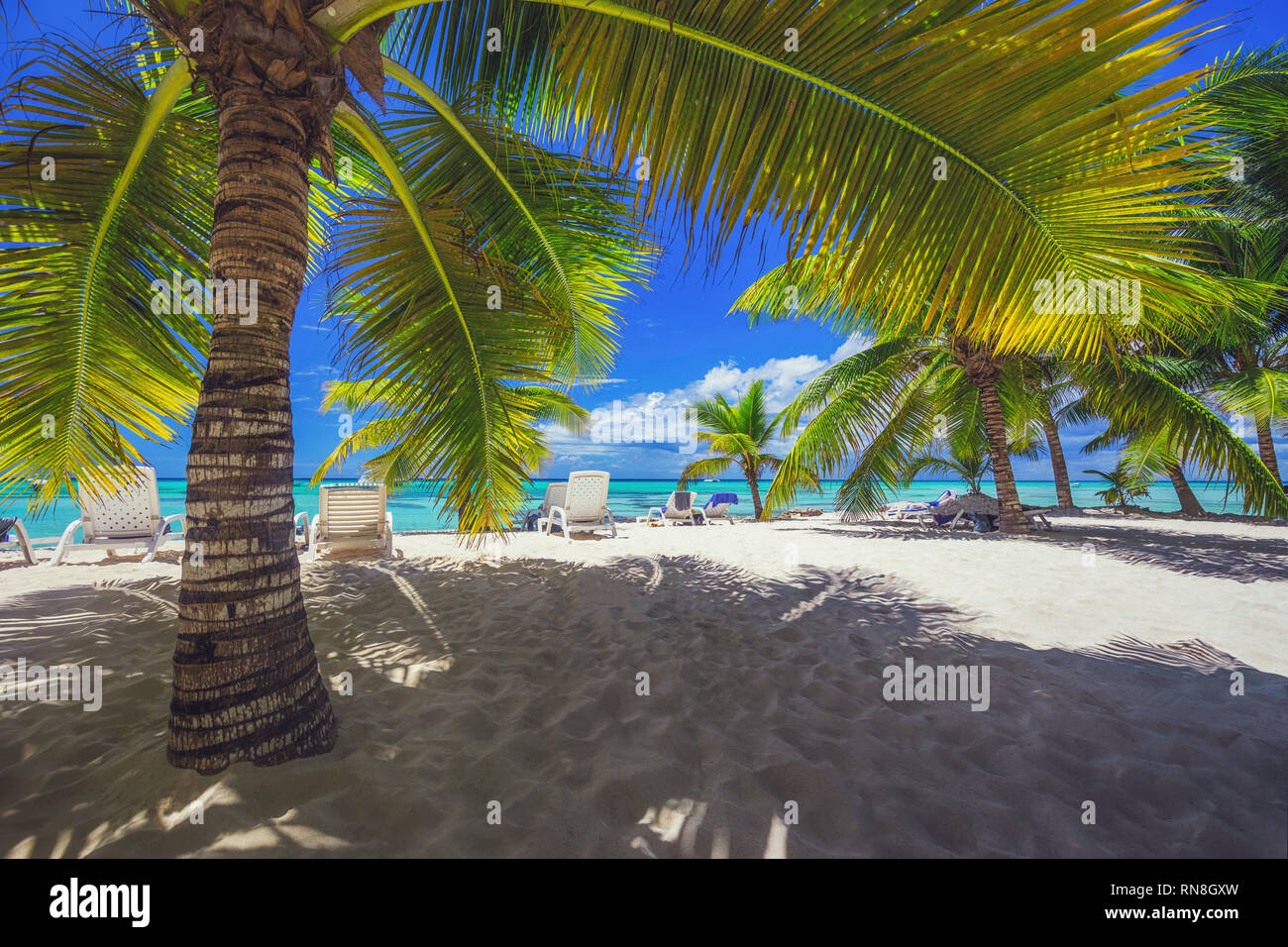 Palm trees, beach and beautiful tropical island Stock Photo - Alamy