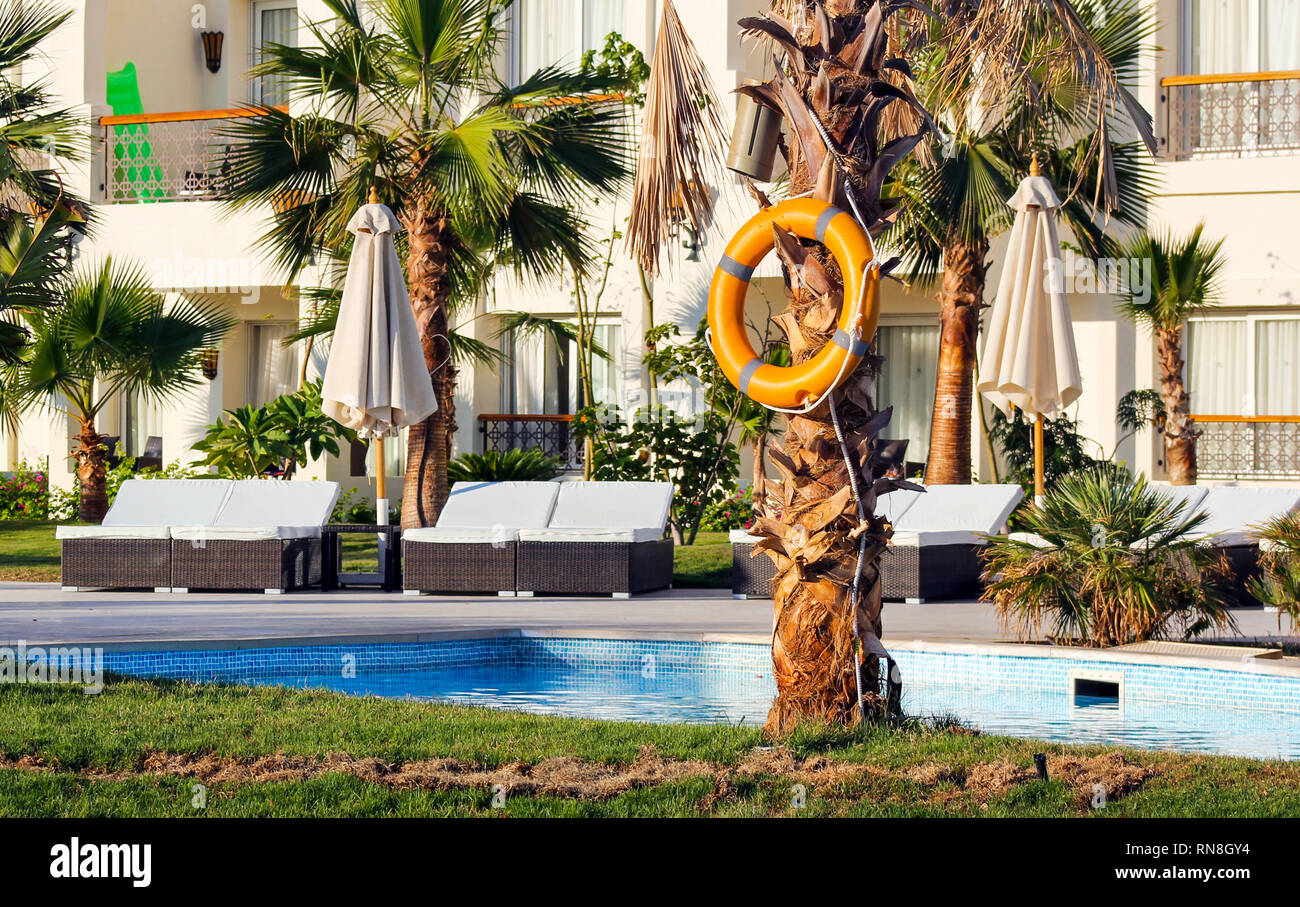 Lifebuoy, life ring with rope hanging on palm tree Stock Photo