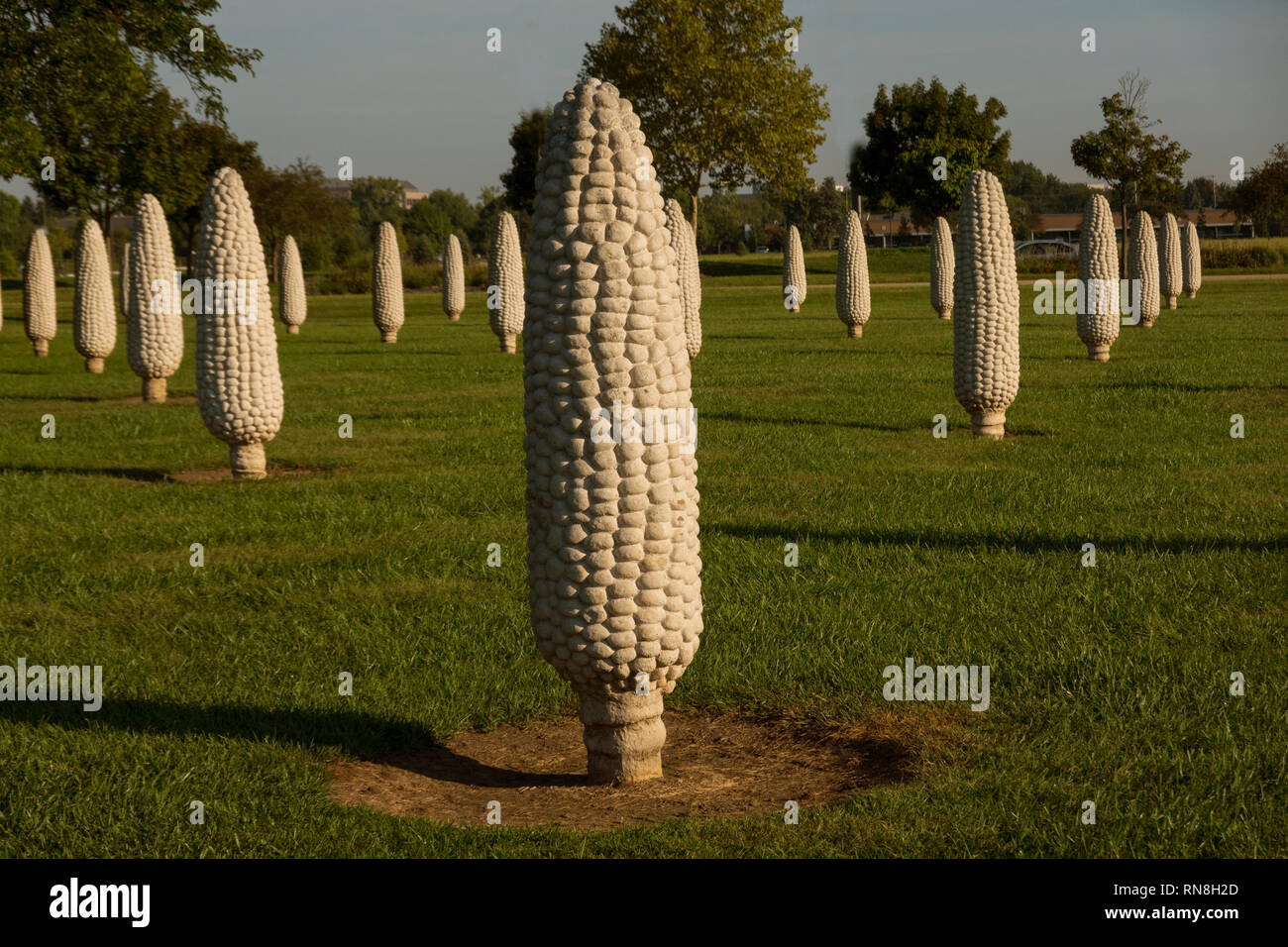 Giant corn hedge sculptures Dublin Ohio Stock Photo