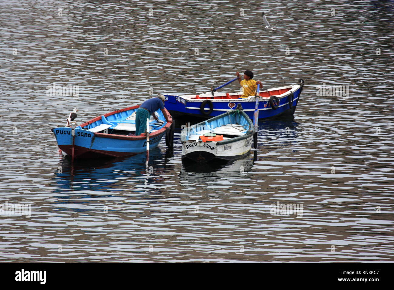 Fishermen in Pucusana town, Peru Stock Photo