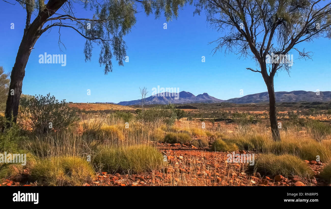 mount sonder in the west macdonnell ranges near alice springs framed by trees Stock Photo Alamy